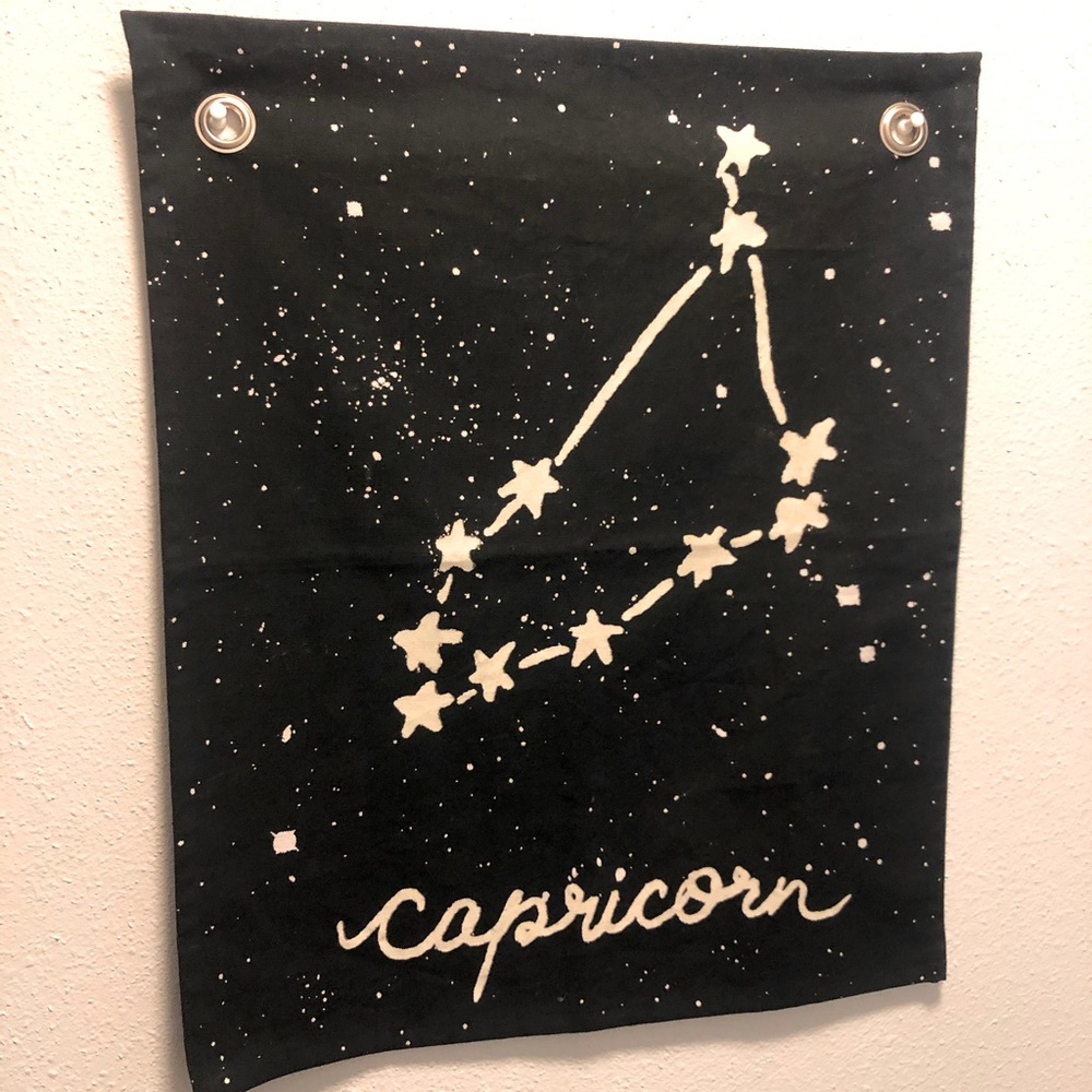 Glow In The Dark Capricorn Wall Decor